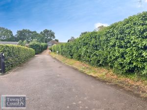 CONIFER CLOSE- click for photo gallery